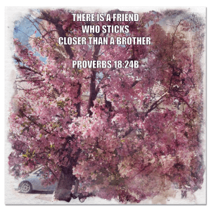 Focusing on God's Word dispels discouragement!