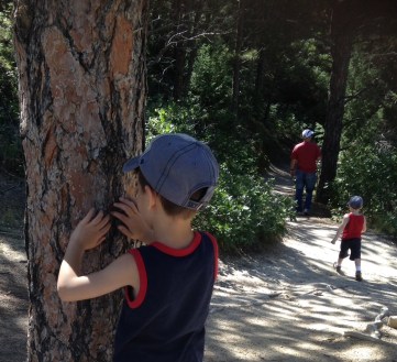 Sammy and Seth love hiking! Seth is following Grandpa Al.